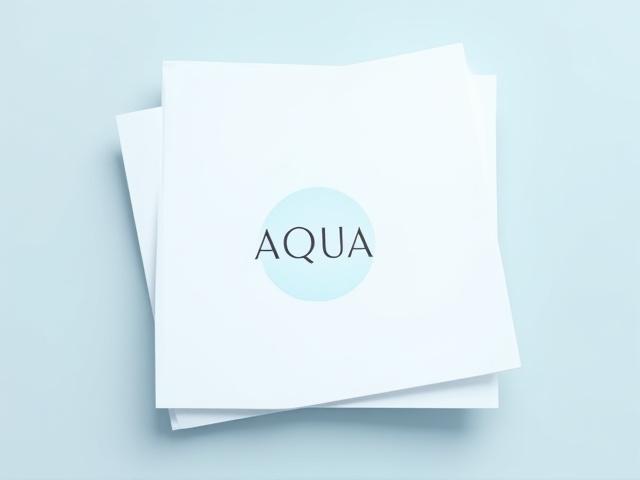 学生によるミニマリストなロゴデザイン「AQUA」。